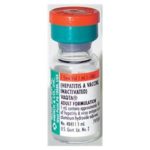 Vaqta Hepatitis A Adult Injectable SDV 1mL 10/Pk - Merck Vaccines — 0006484141 Image